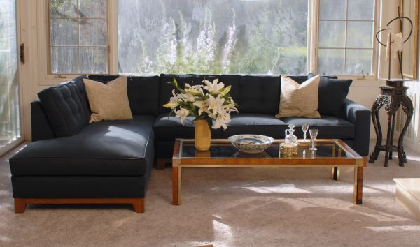 Navy blue sofa in a living room with decor and plants