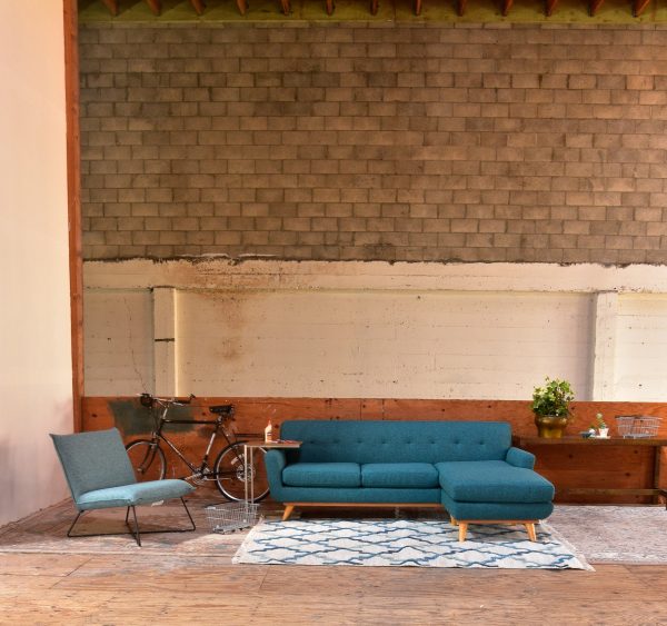 Blue sofa in living room with decor and plants