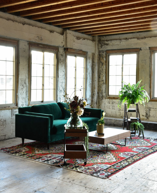 green velvet sofa in living room with decor and plants