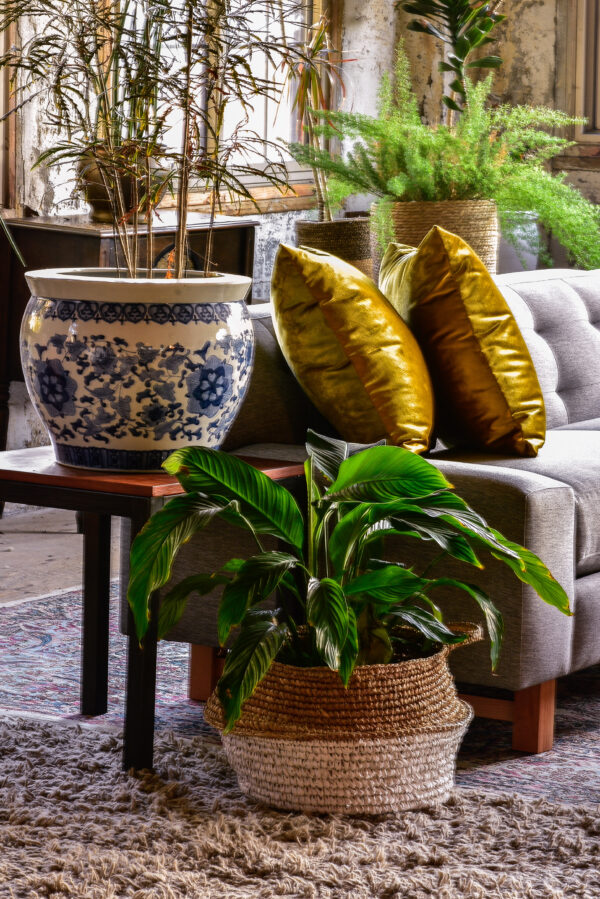 side table in living room with decor and plants